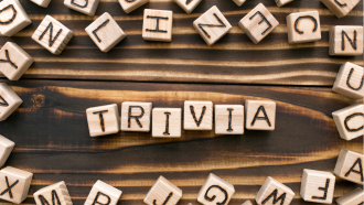 "TRIVIA" spelled out with wooden blocks.